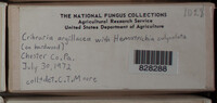 Image Associated With the Occurence